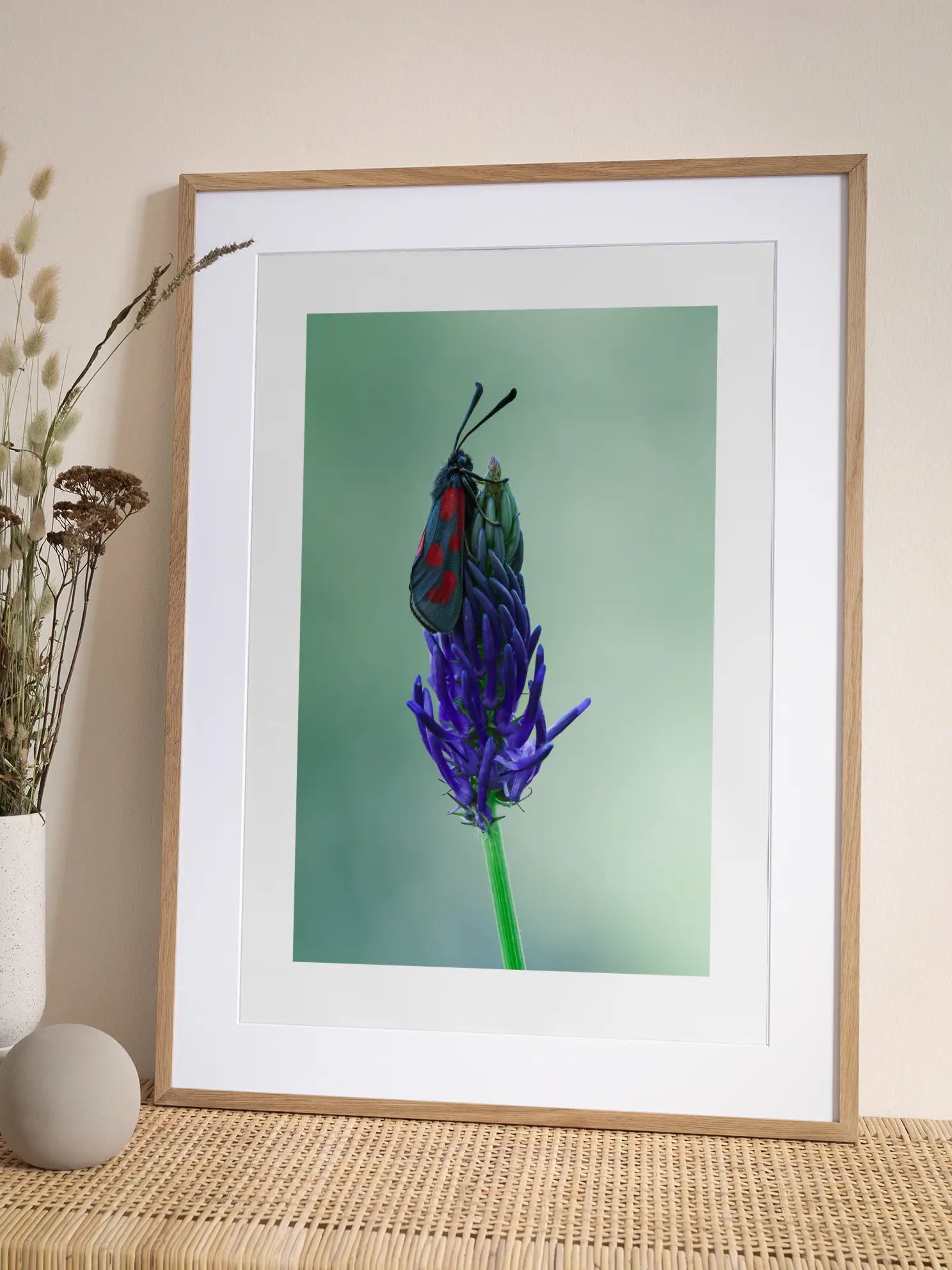 Insect Purple Flower Poster