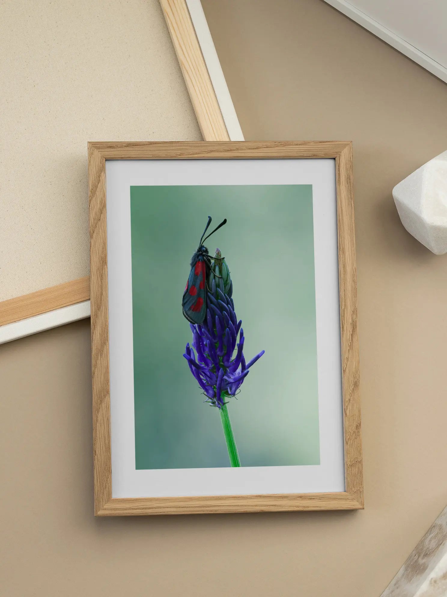Insect Purple Flower Poster