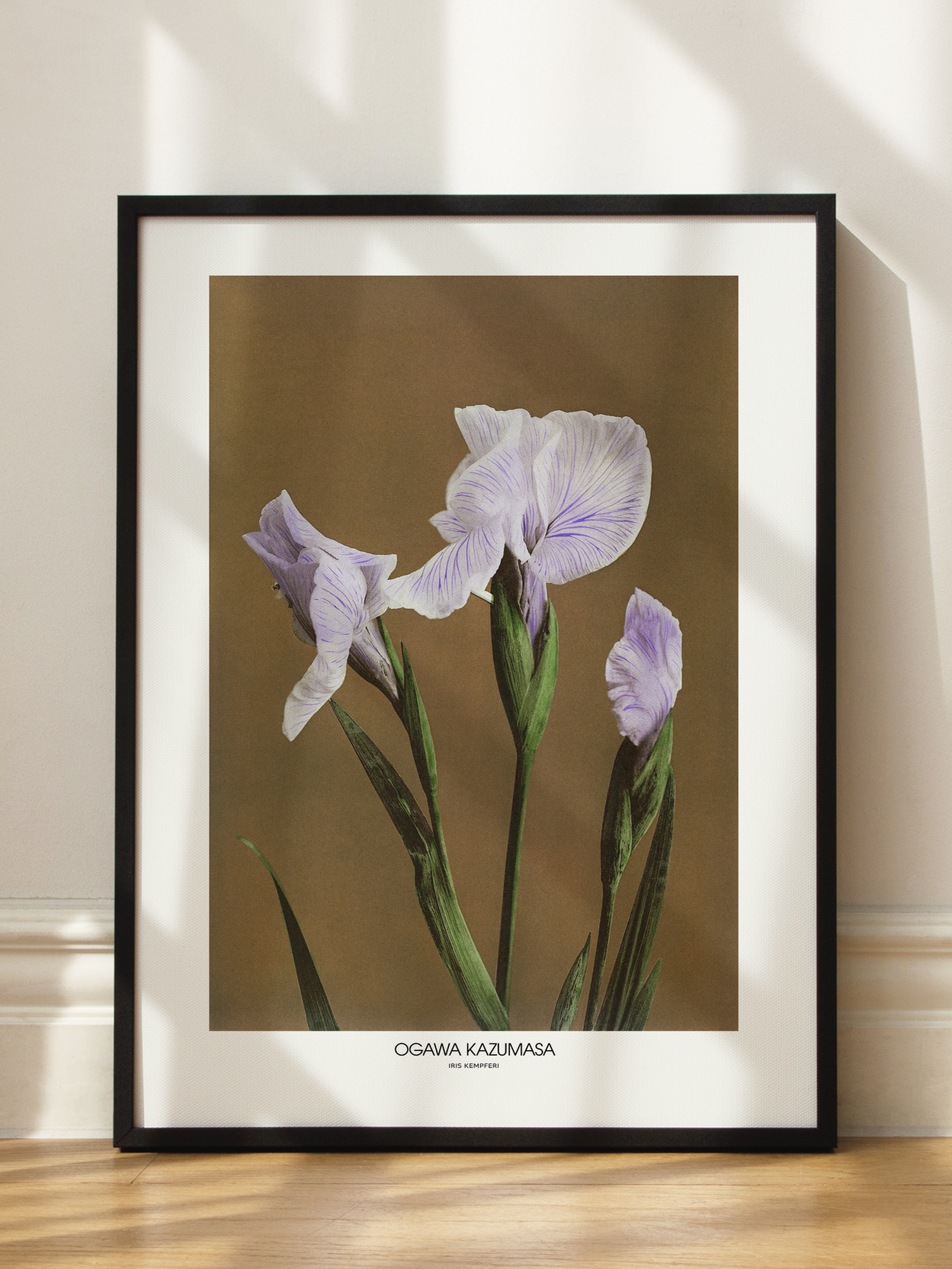Iris Ensata by Ogawa Poster