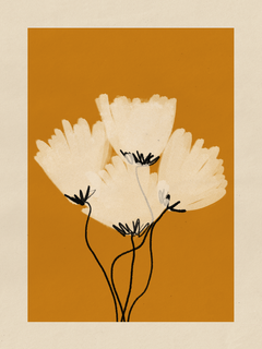 Illustration von weißen Blumen mit schwarzen Stängeln vor einem orangefarbenen Hintergrund mit beigem Rand.