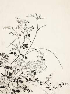 Schwarz-weiße Illustration von Blumen auf beigem Hintergrund.