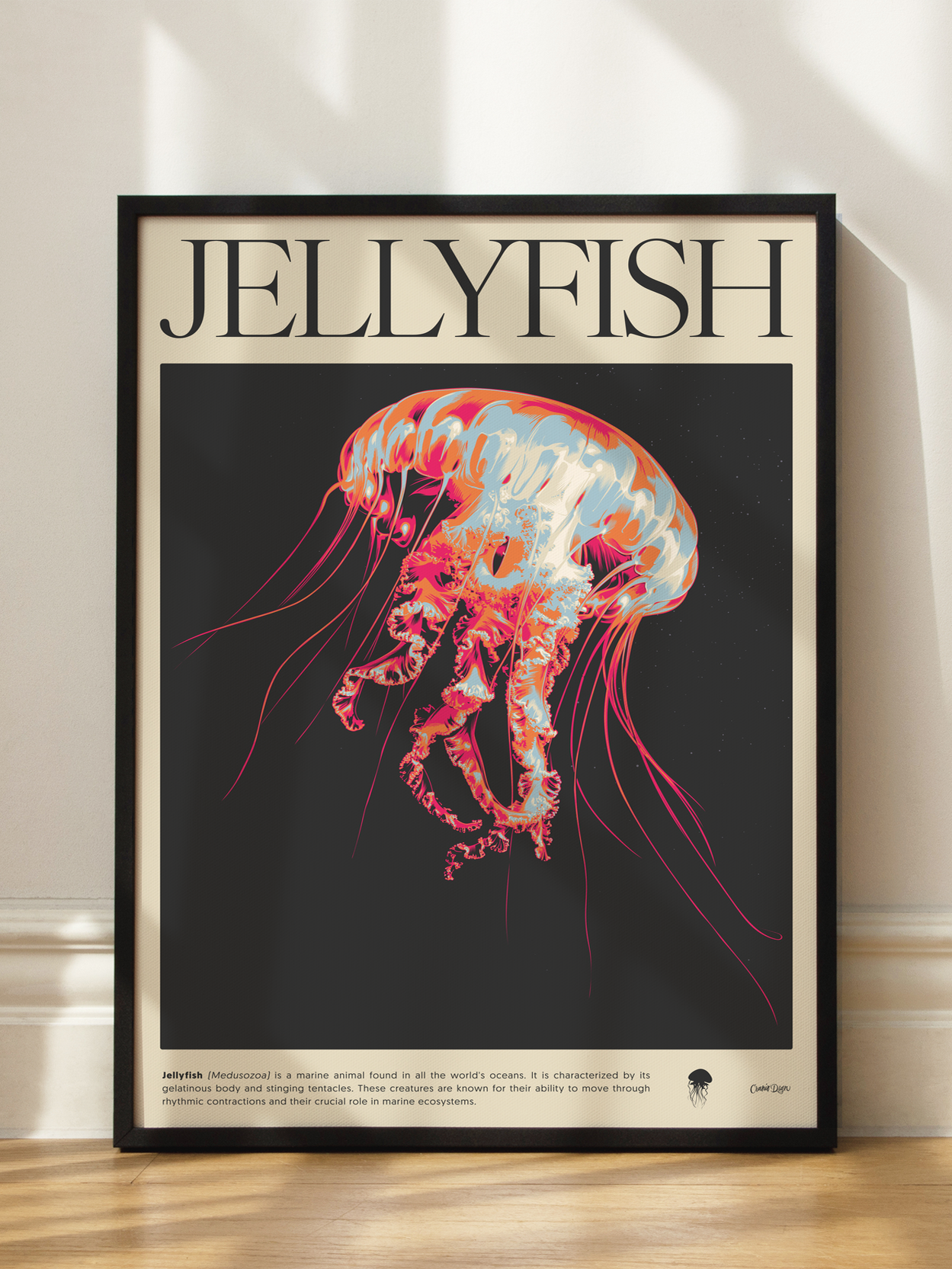 Jellyfish