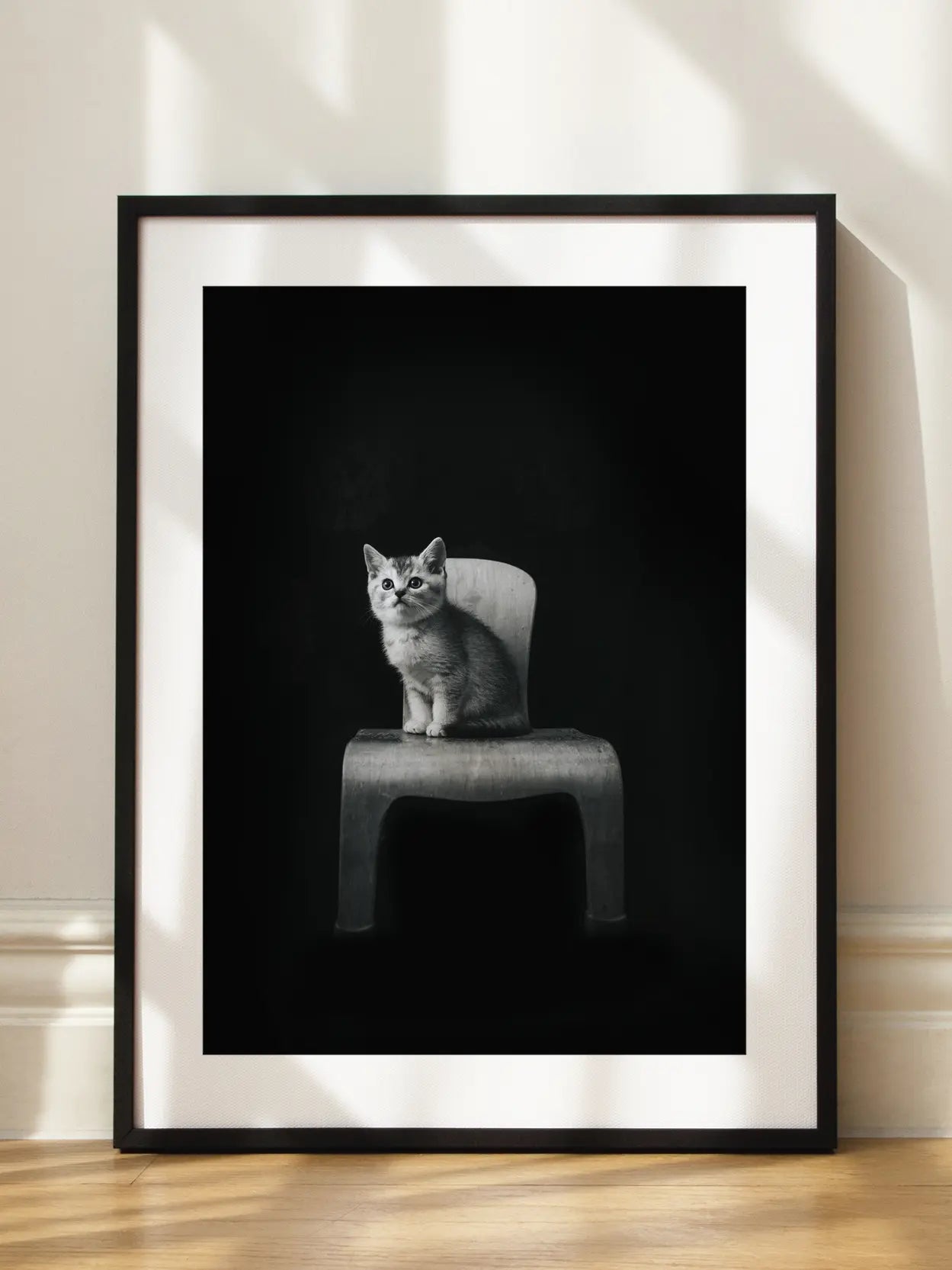 Kitten on a Chair Poster
