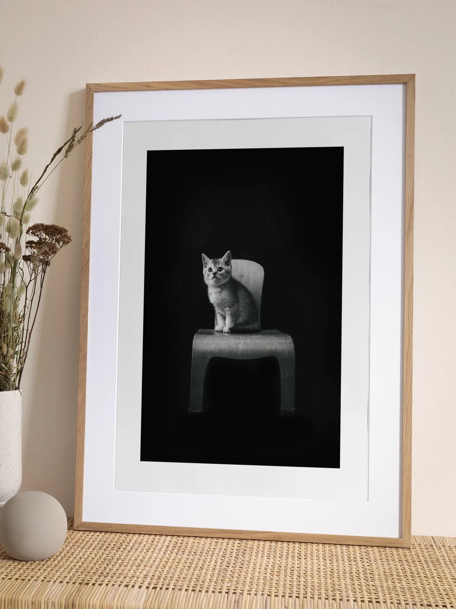 Kitten on a Chair Poster