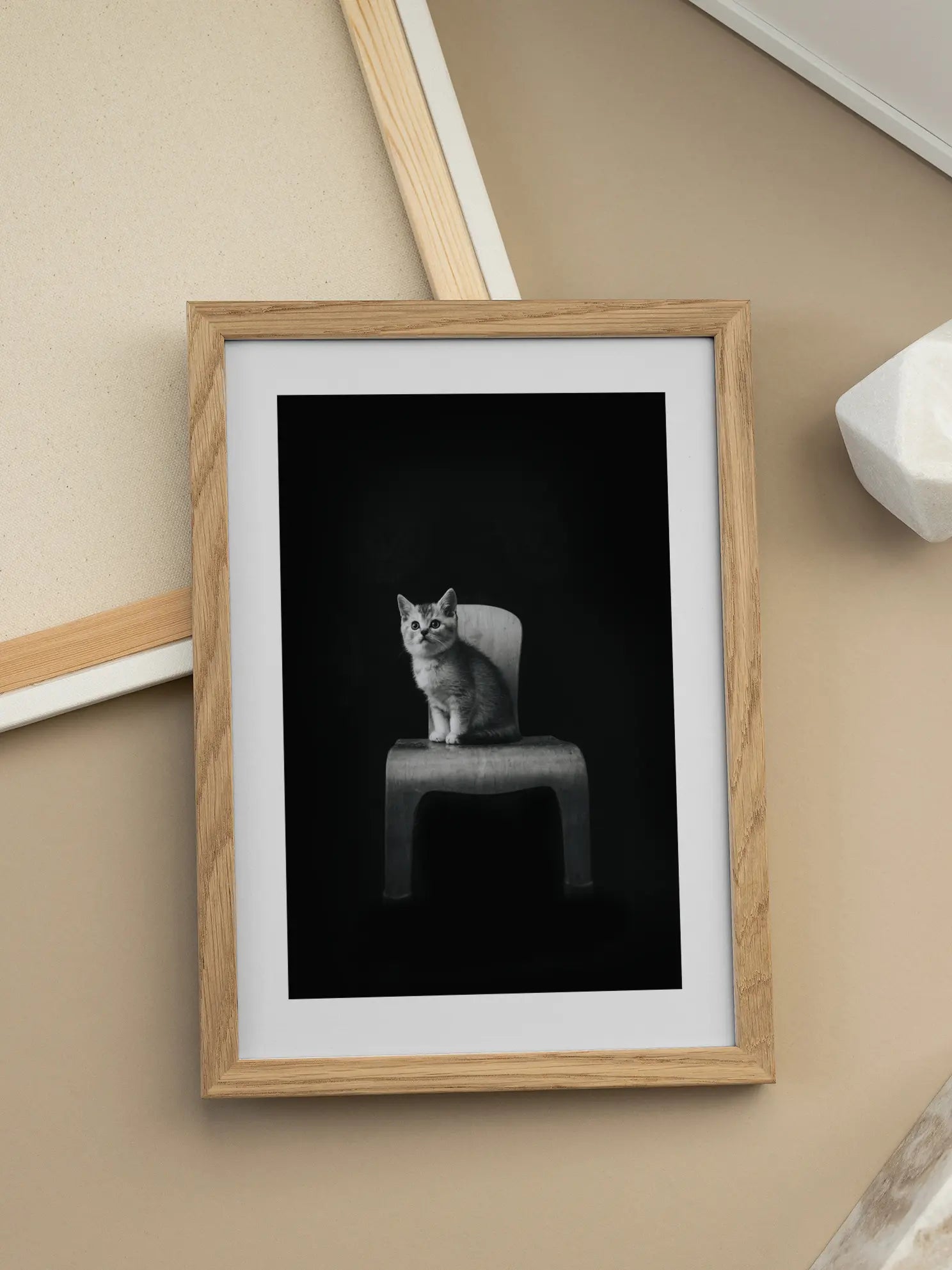 Kitten on a Chair Poster