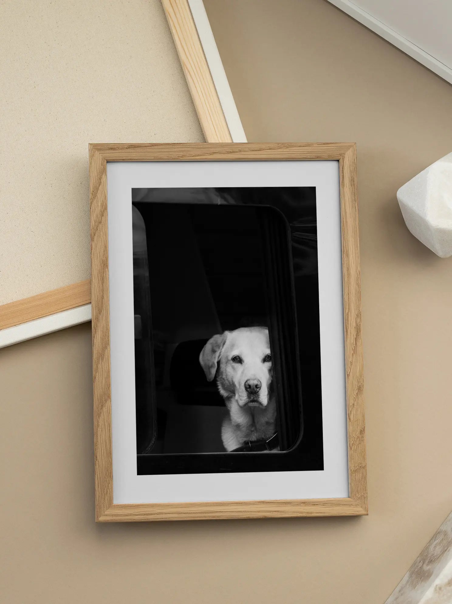 Labrador in the Car Window Poster