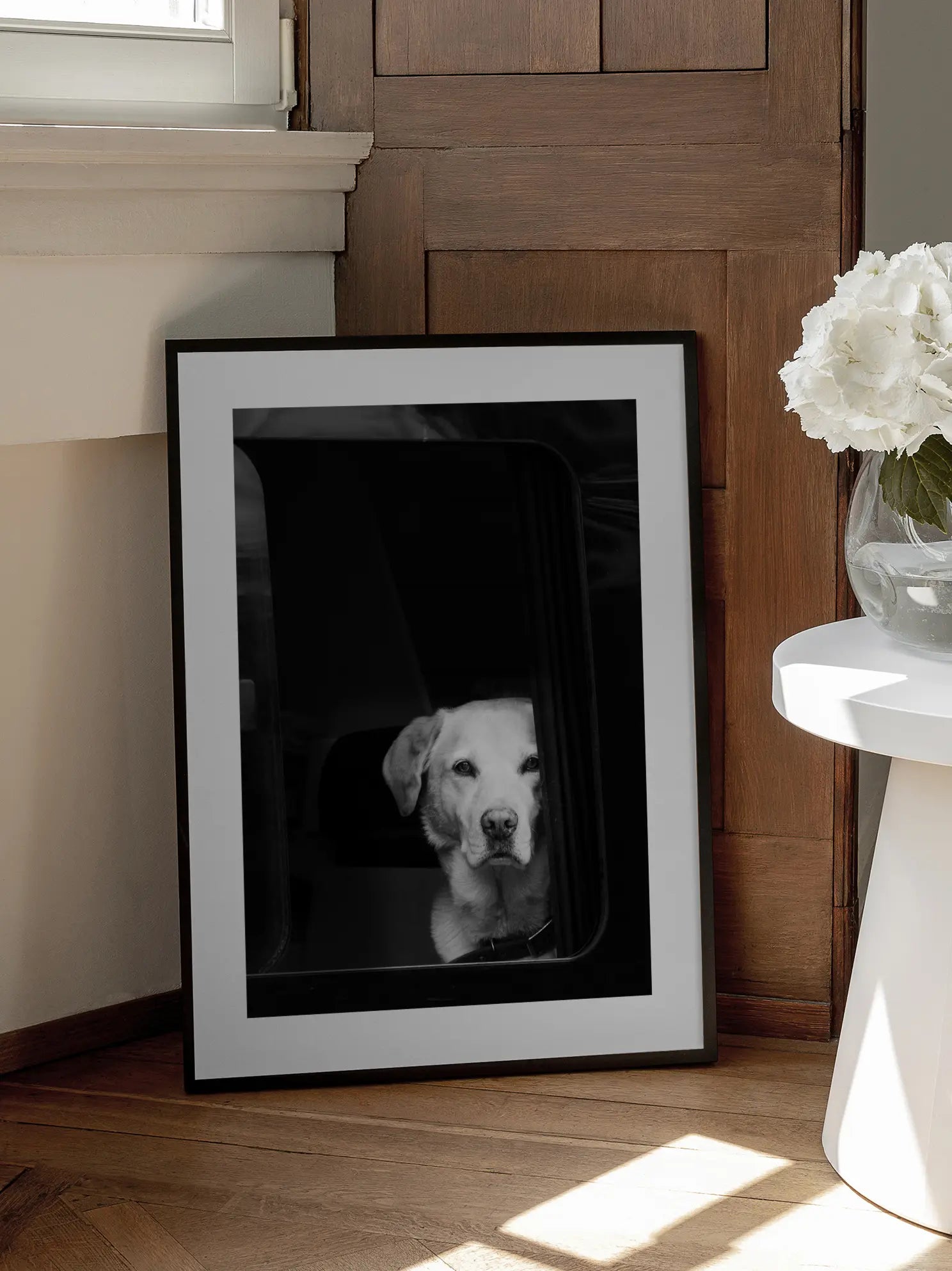 Labrador in the Car Window Poster