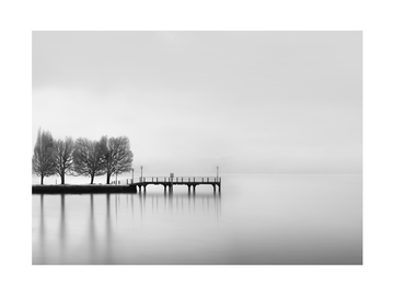 Schwarzweiß-Fotografie eines Sees mit Steg und Bäumen.