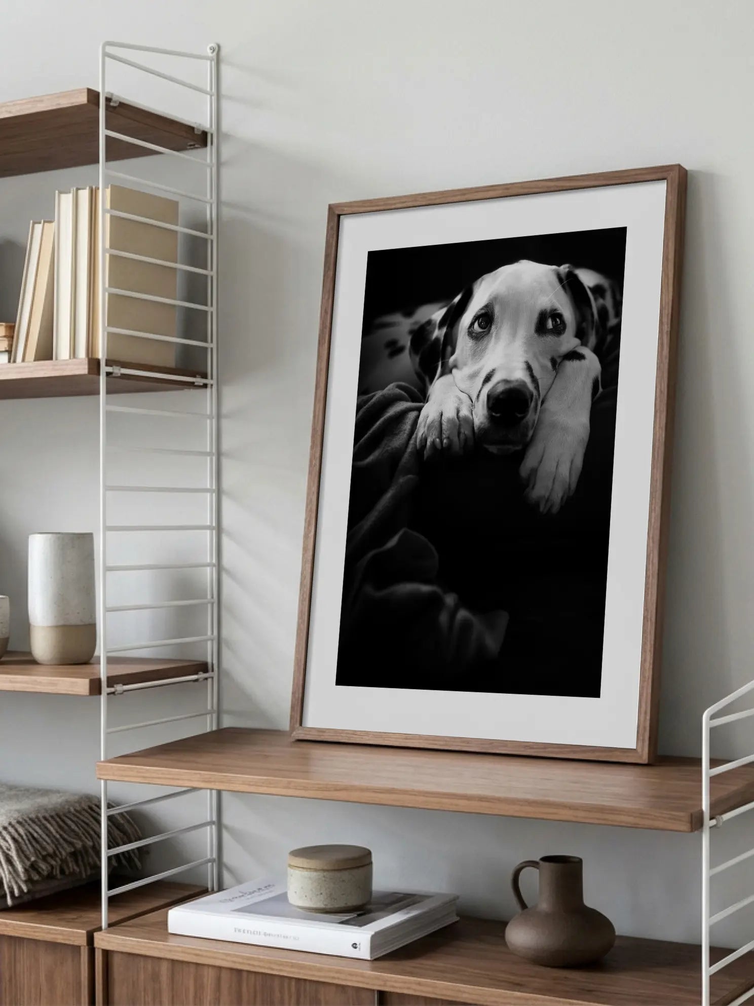 Lazy Dalmatian Poster