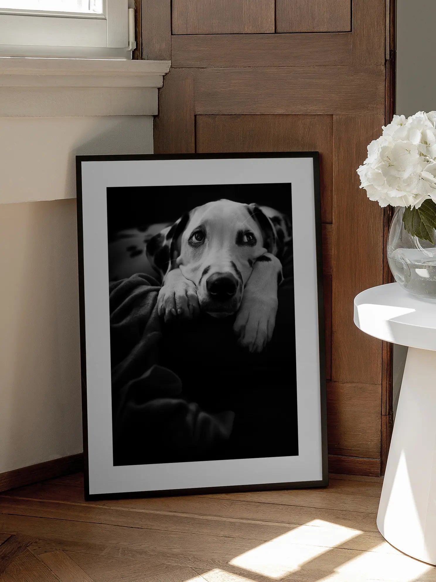 Lazy Dalmatian Poster