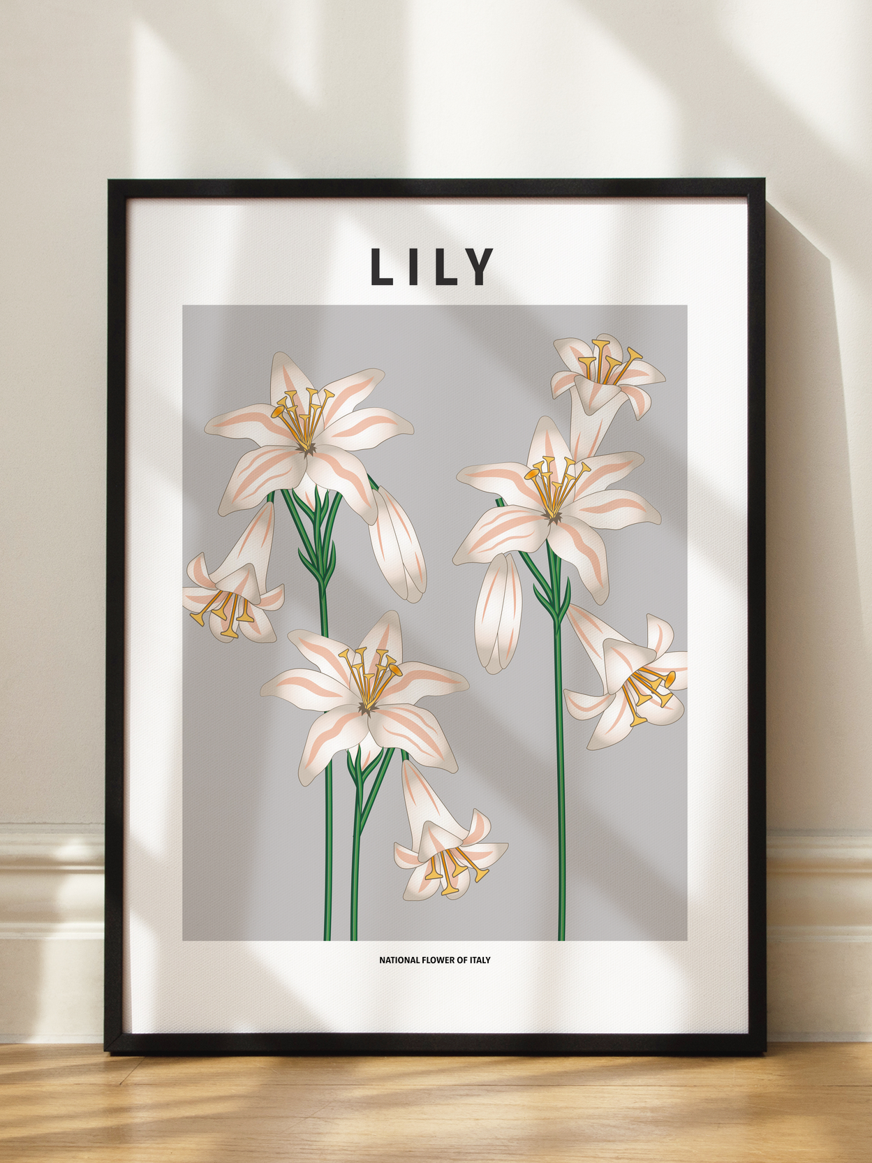 Lily of Italy Poster