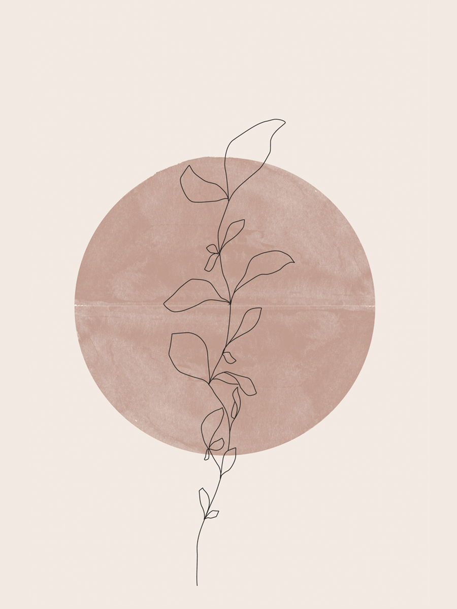 Line-Art-Illustration einer Pflanze vor einem braunen Kreis auf hellbeigem Hintergrund.