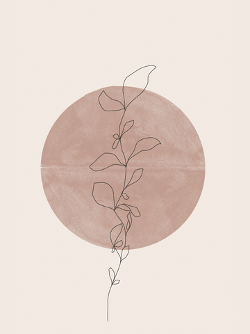 Line-Art-Illustration einer Pflanze vor einem braunen Kreis auf hellbeigem Hintergrund.