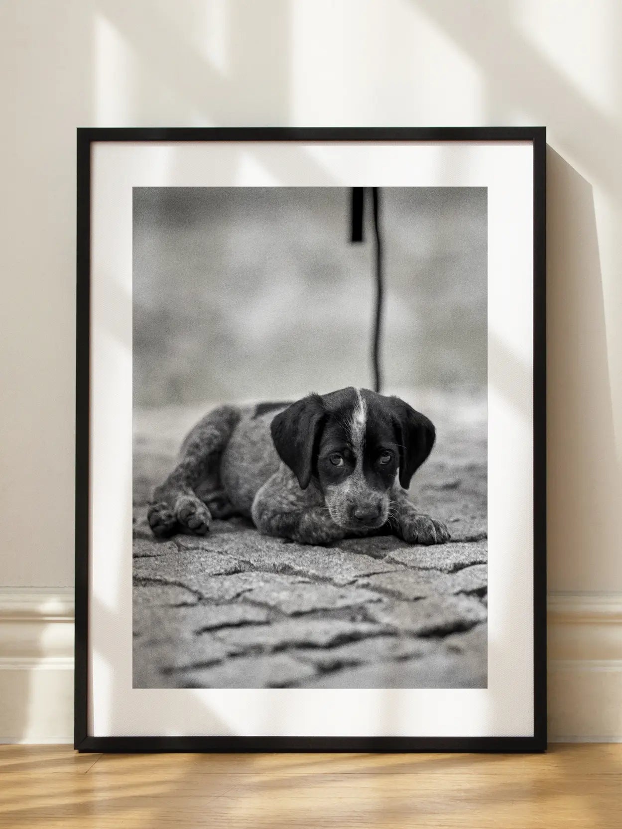 Little Puppy Poster