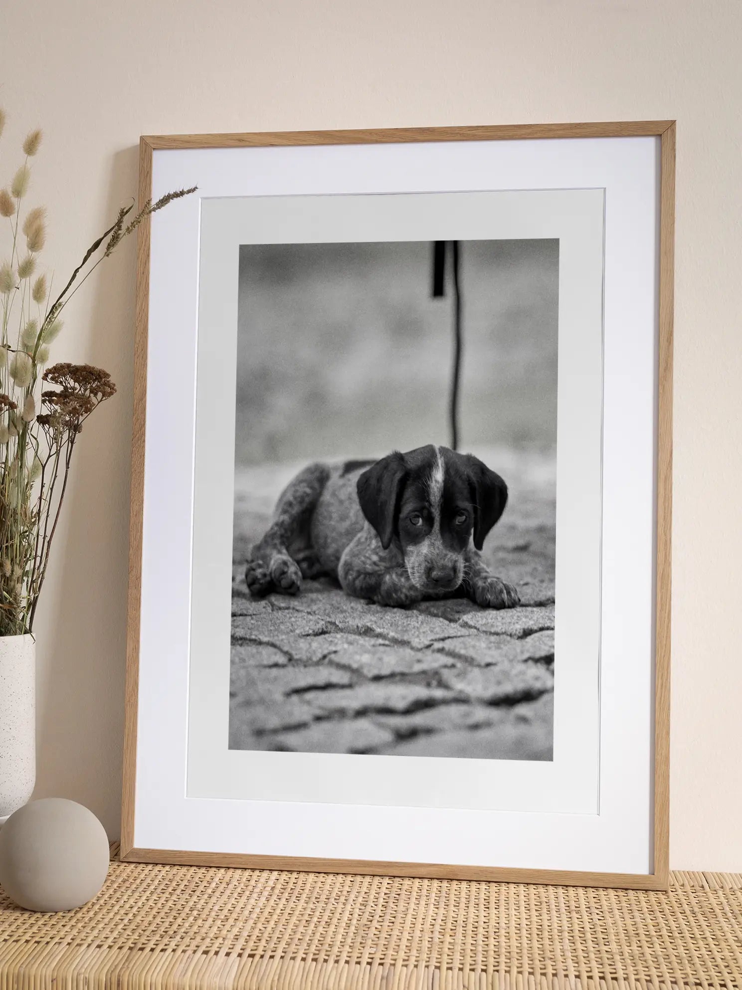 Little Puppy Poster