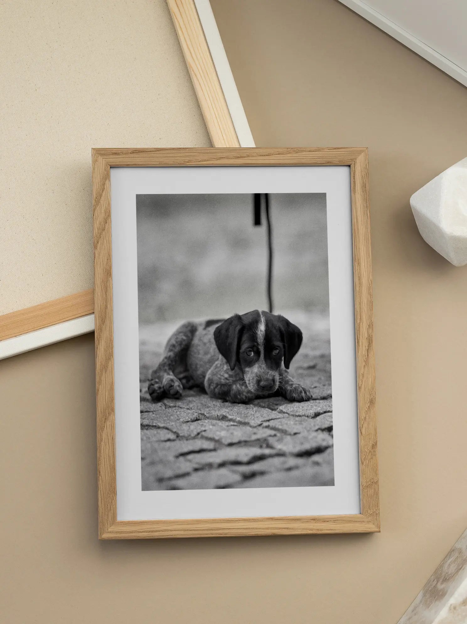 Little Puppy Poster