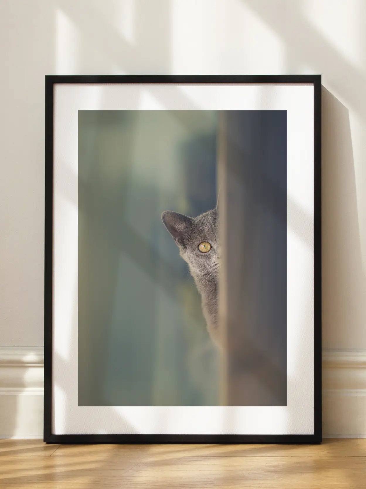 Lola Cat Poster