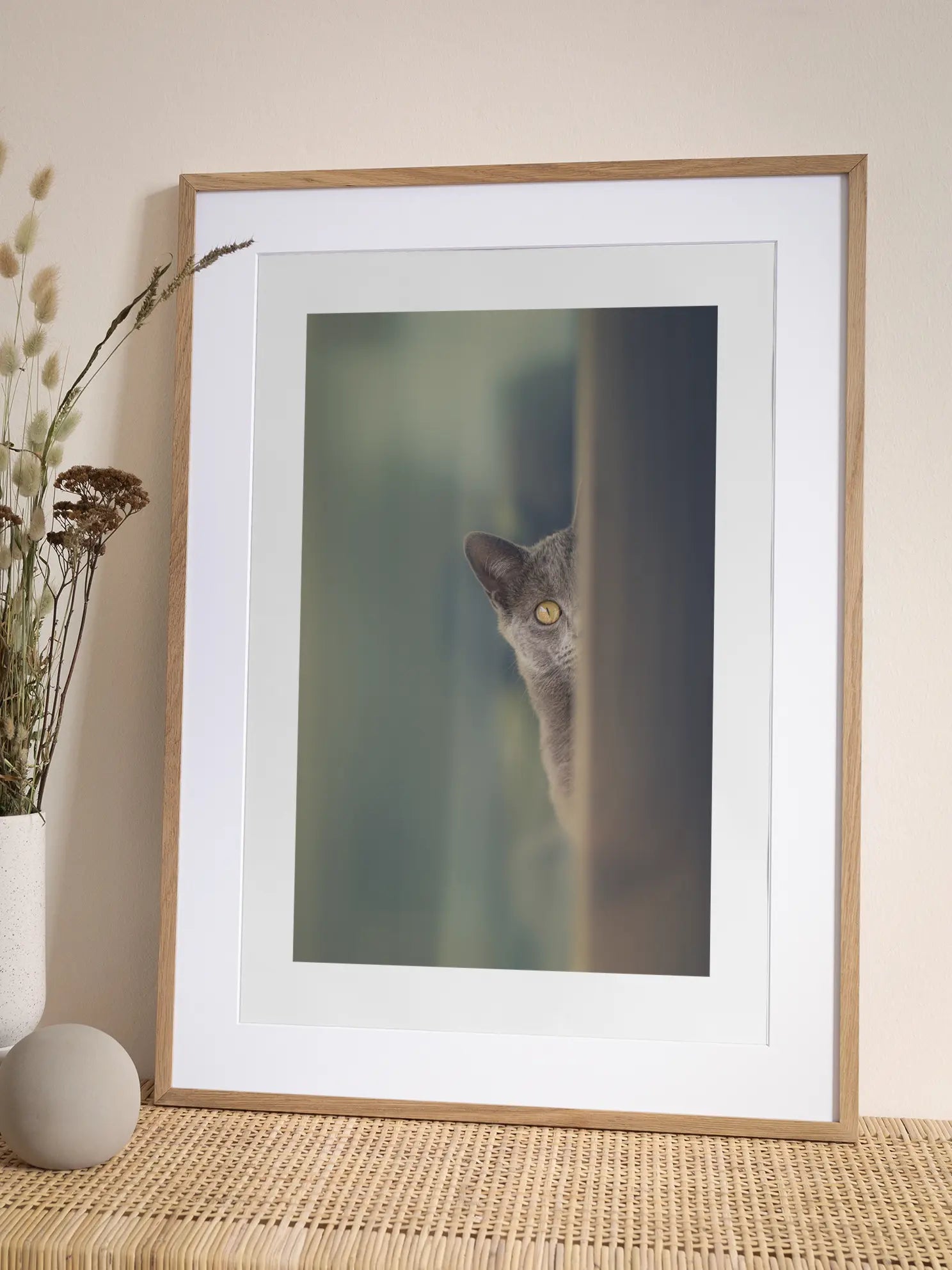 Lola Cat Poster