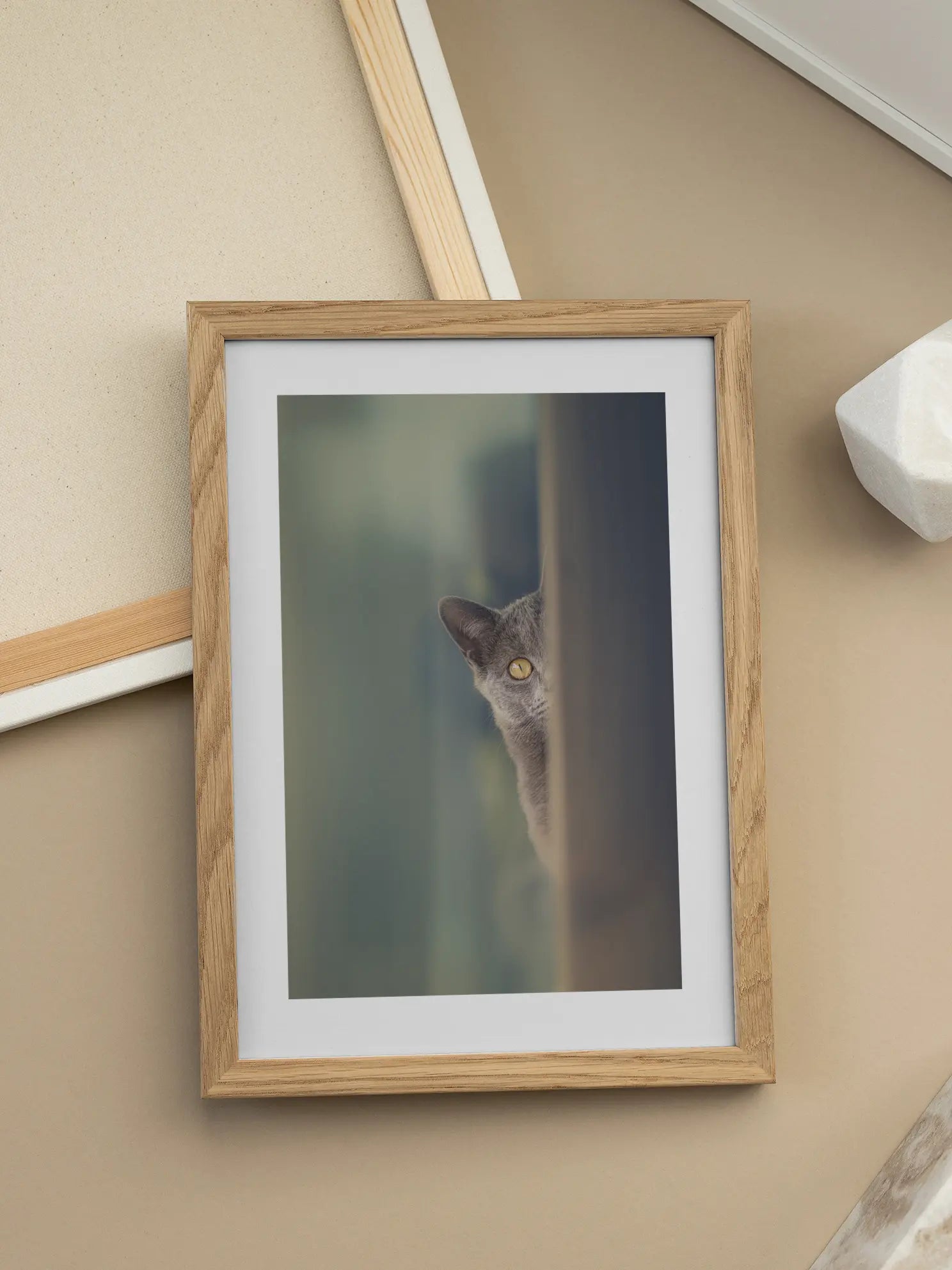 Lola Cat Poster