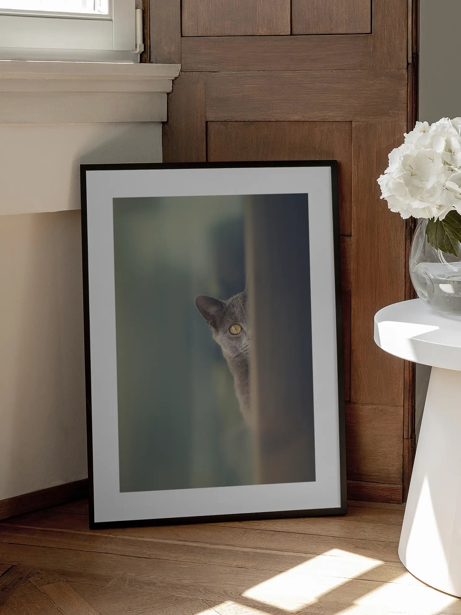 Lola Cat Poster