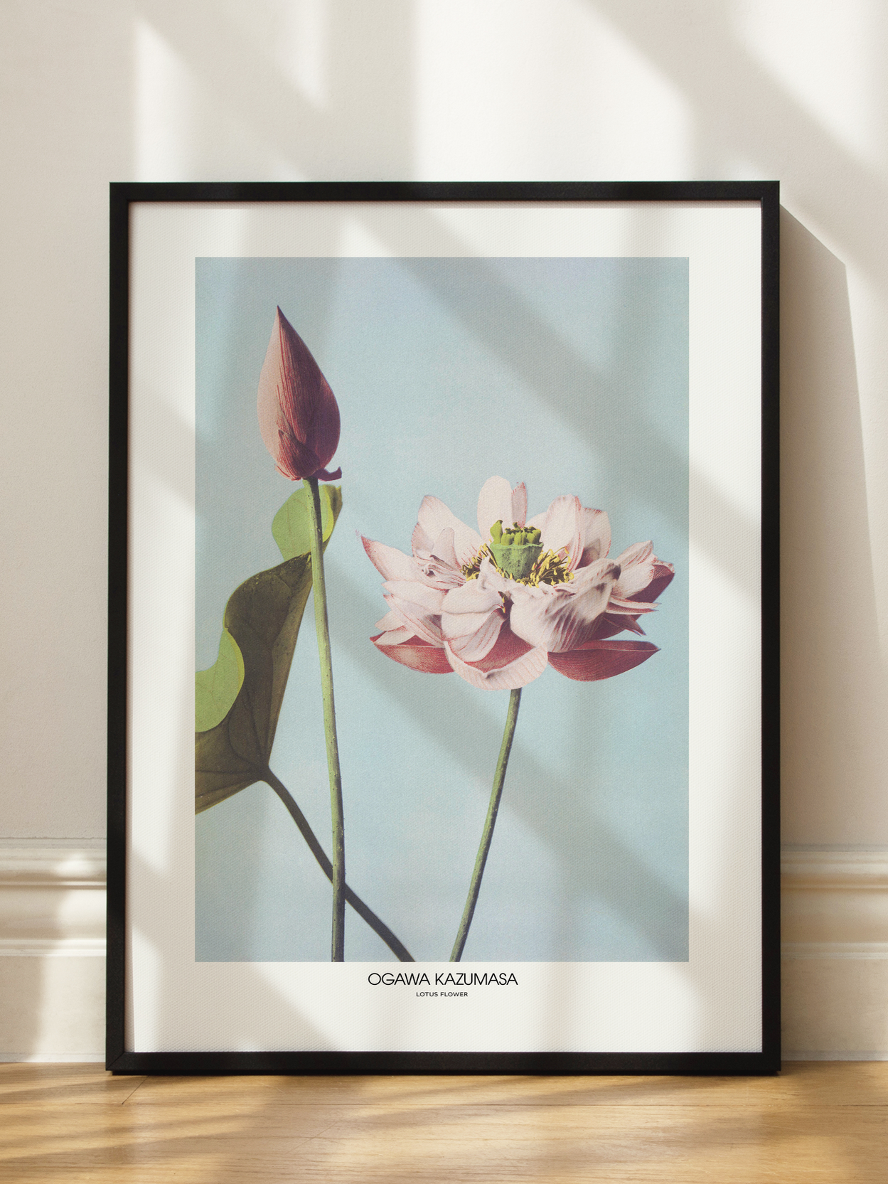 Lotus Flower by Ogawa Poster