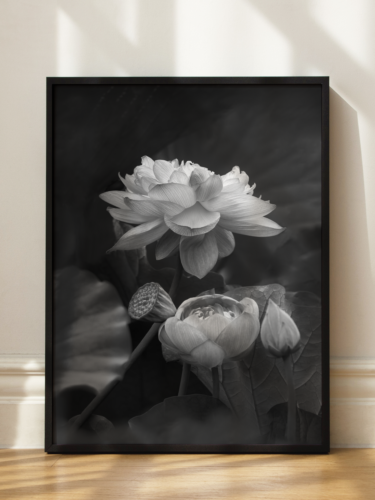 Lotus Flowers Black and White Poster
