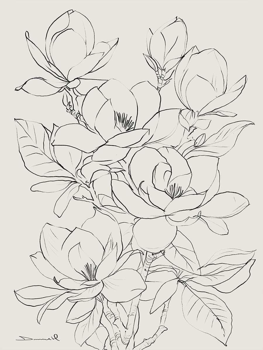 Illustration von Magnolien in Schwarz auf beigem Hintergrund.