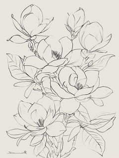 Illustration von Magnolien in Schwarz auf beigem Hintergrund.