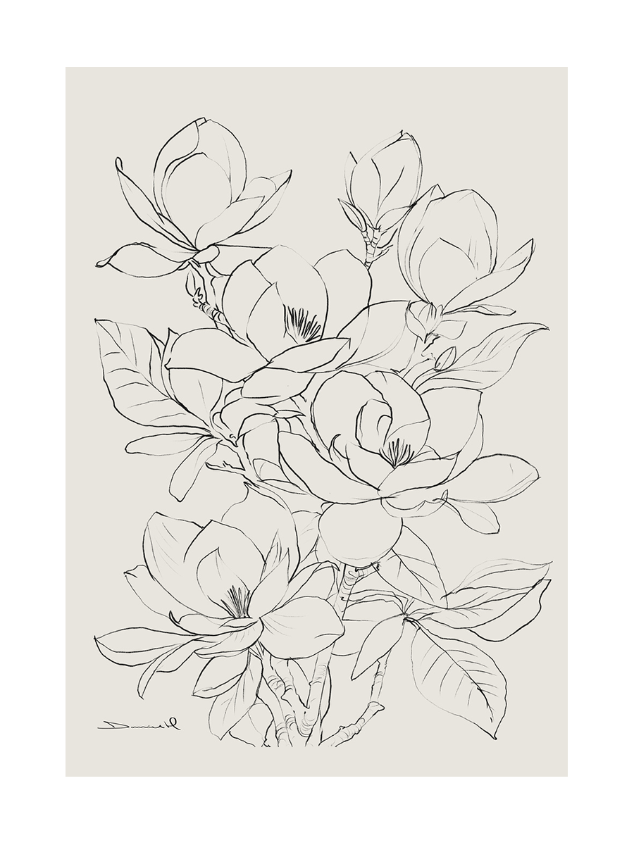 Illustration von Magnolien in Schwarz auf beigem Hintergrund.