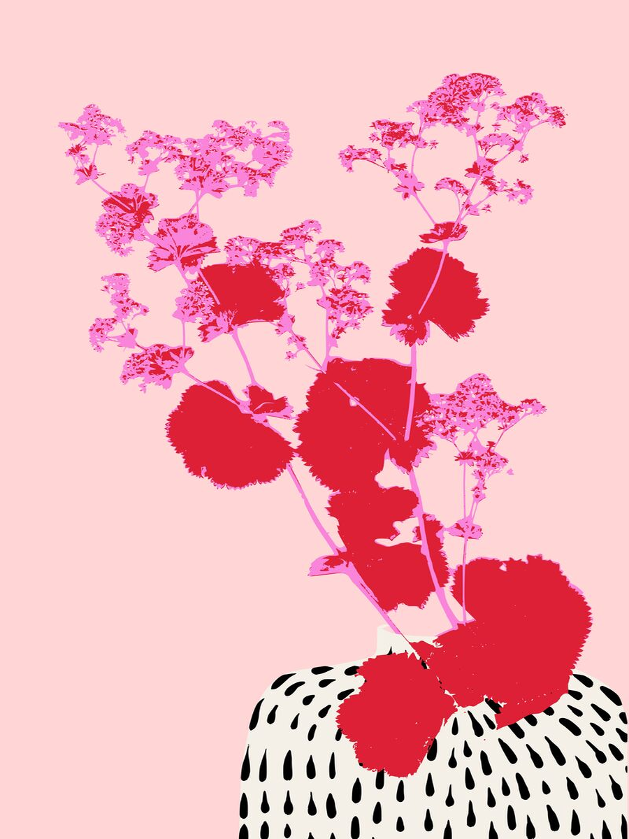 Pflanze mit roten Blättern und rosa Blüten in einer schwarz-weiß gemusterten Vase vor einem hellrosa Hintergrund.
