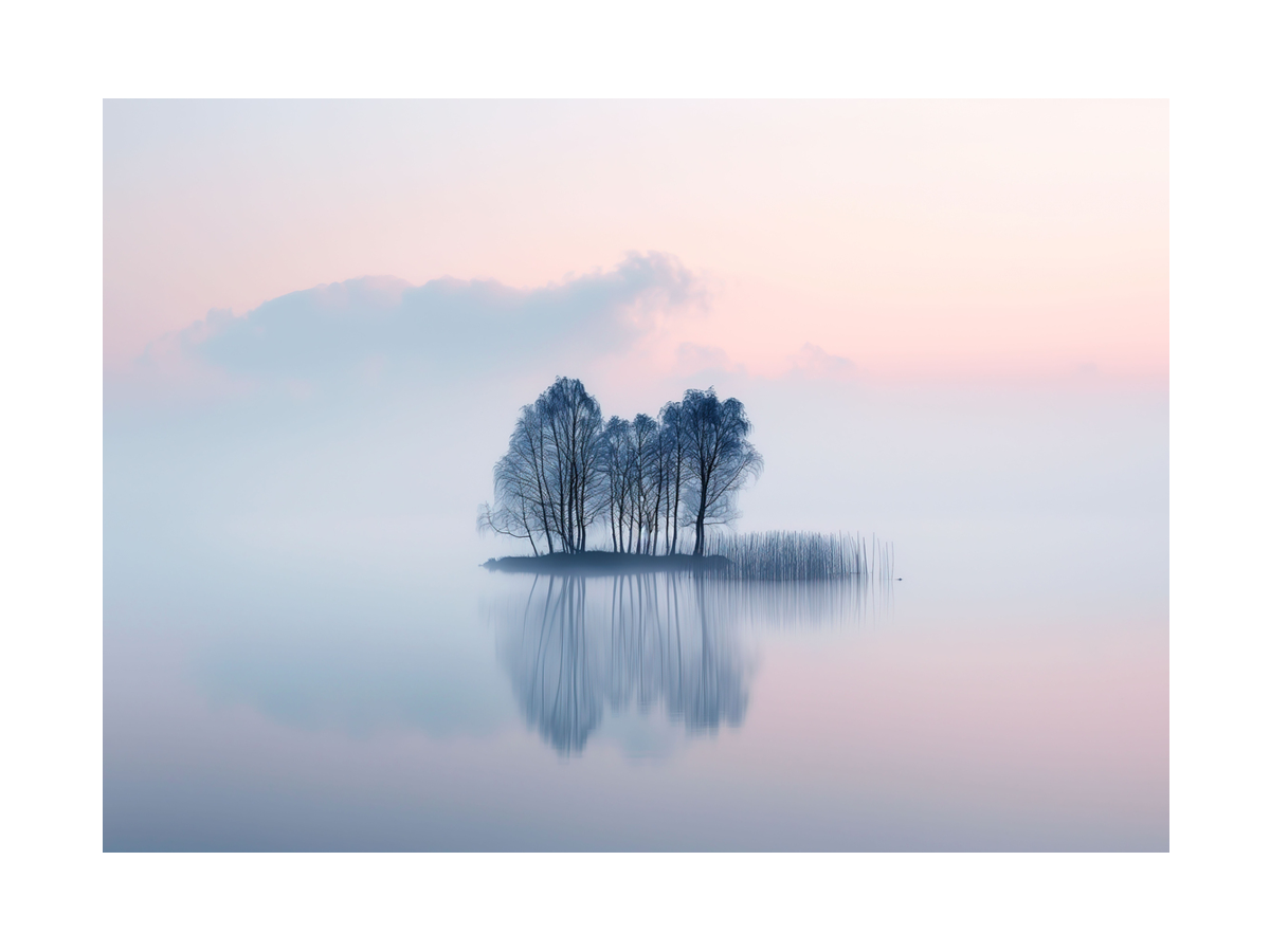Fotografie einer kleinen Insel mit Bäumen im Nebel, rosa Himmel und Spiegelung im Wasser.