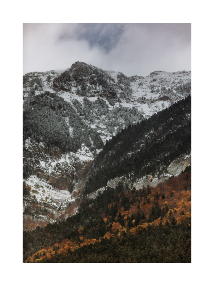 Fotografie von schneebedeckten Bergen und einem Wald in Herbstfarben.