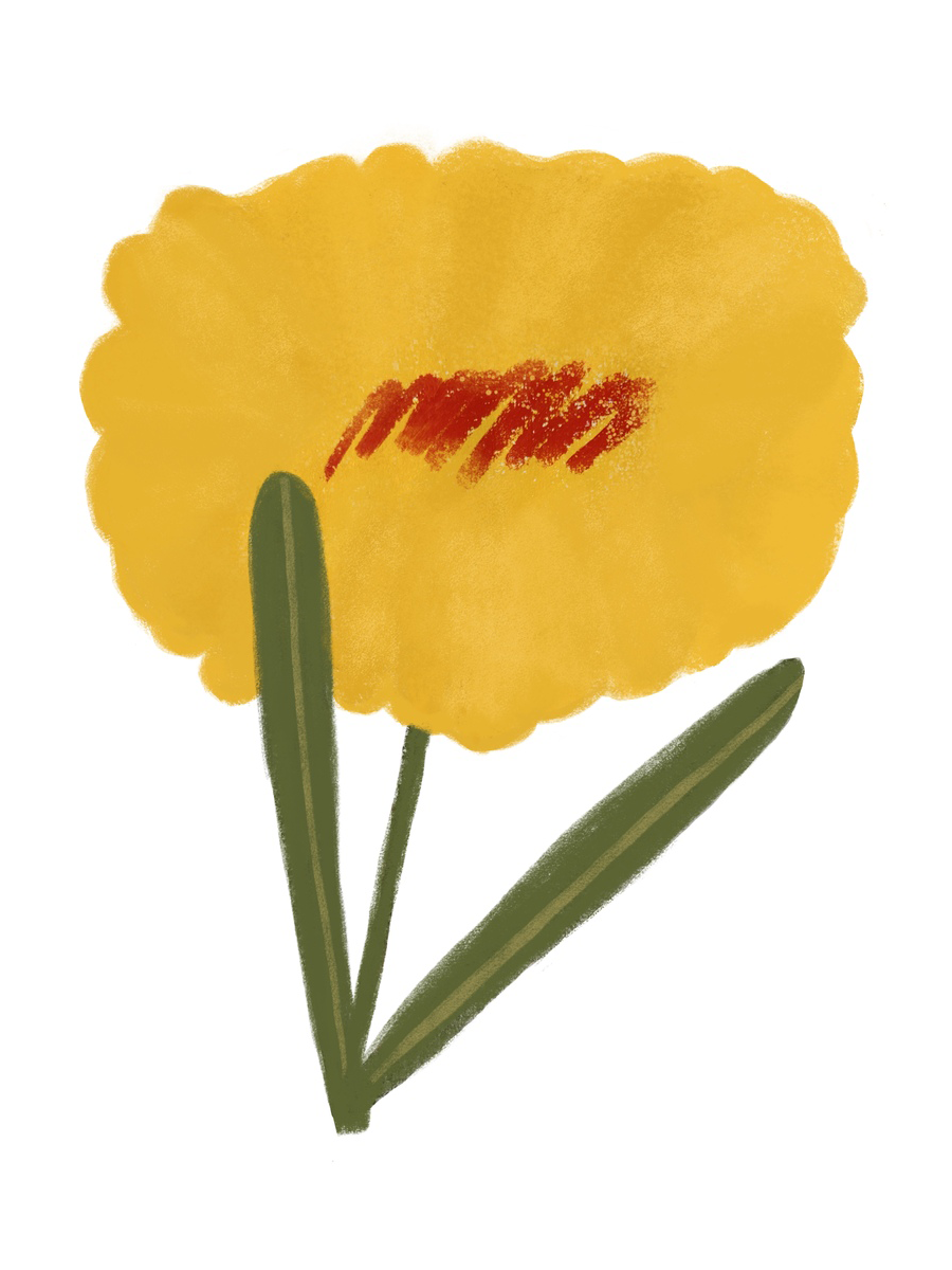 Illustration einer gelben Blume mit grünen Stielen auf weißem Hintergrund.