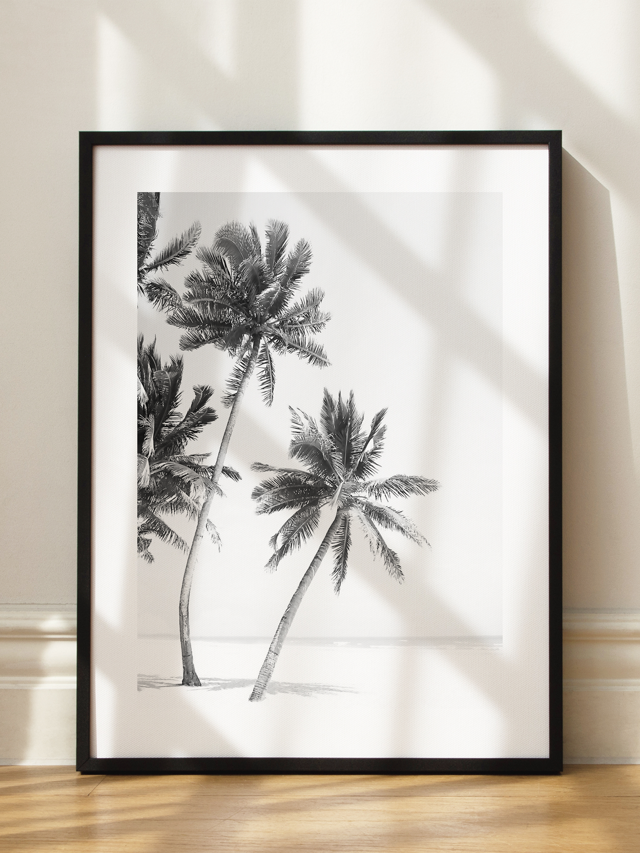 Monochrome Palms