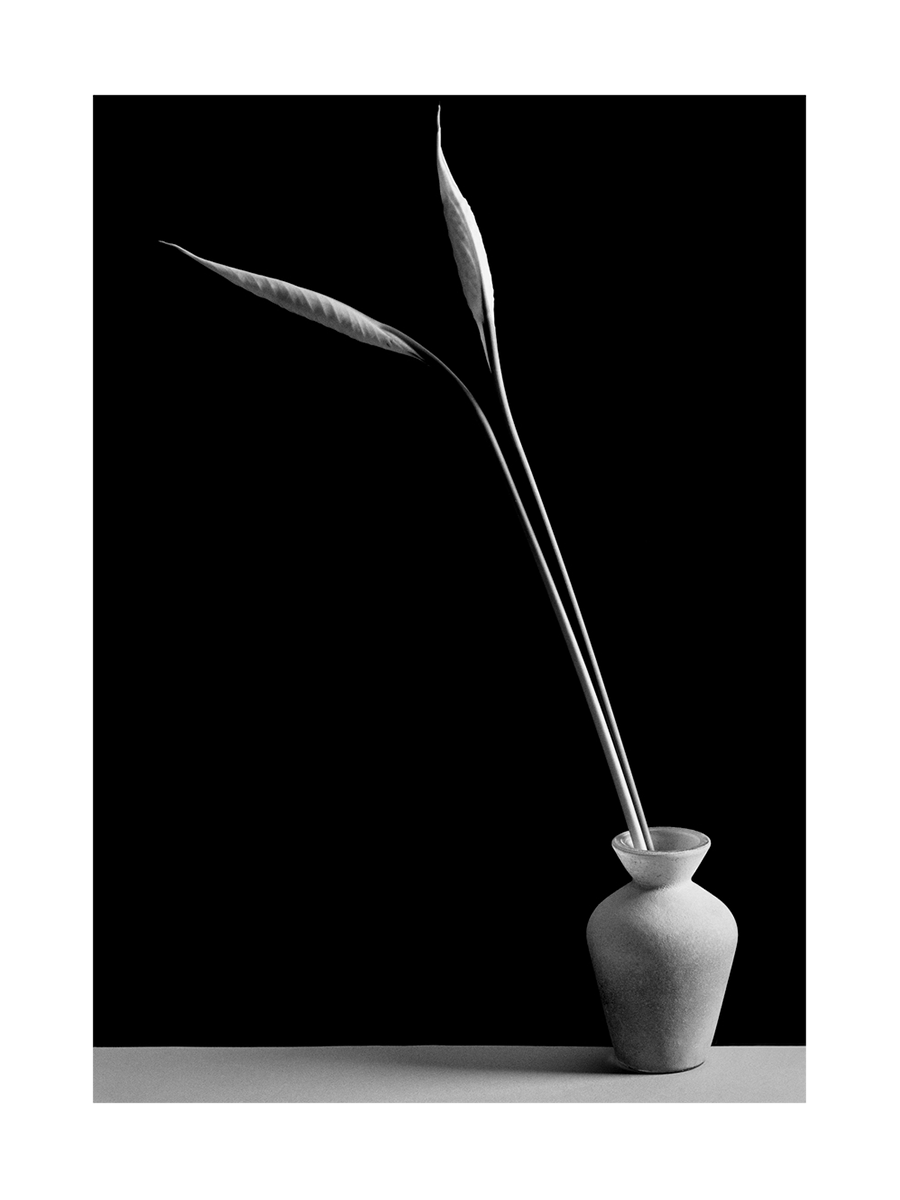 Monochrome Vase No1 Poster