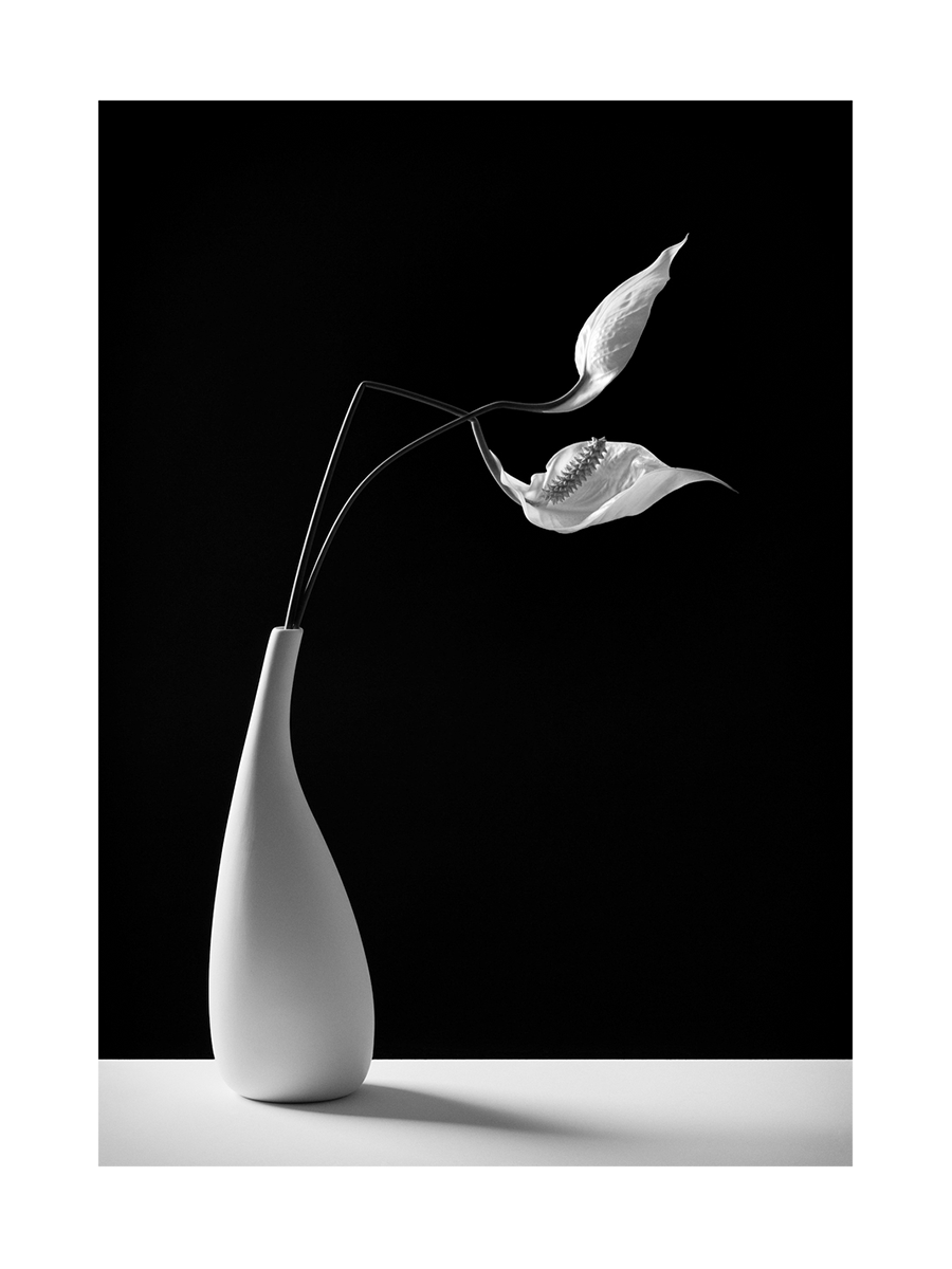 Monochrome Vase No2 Poster