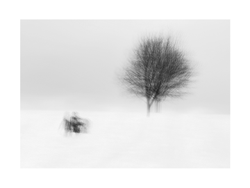 Schwarzweiß-Poster eines Baums und einer Bank im Schnee.