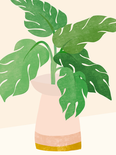 Illustration einer Monstera-Pflanze in einer rosa Vase vor einem hellbeigen Hintergrund.