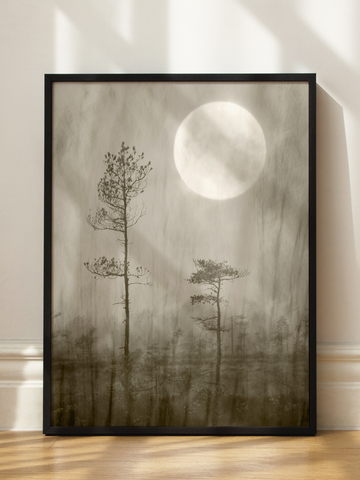 Moonlit Forest