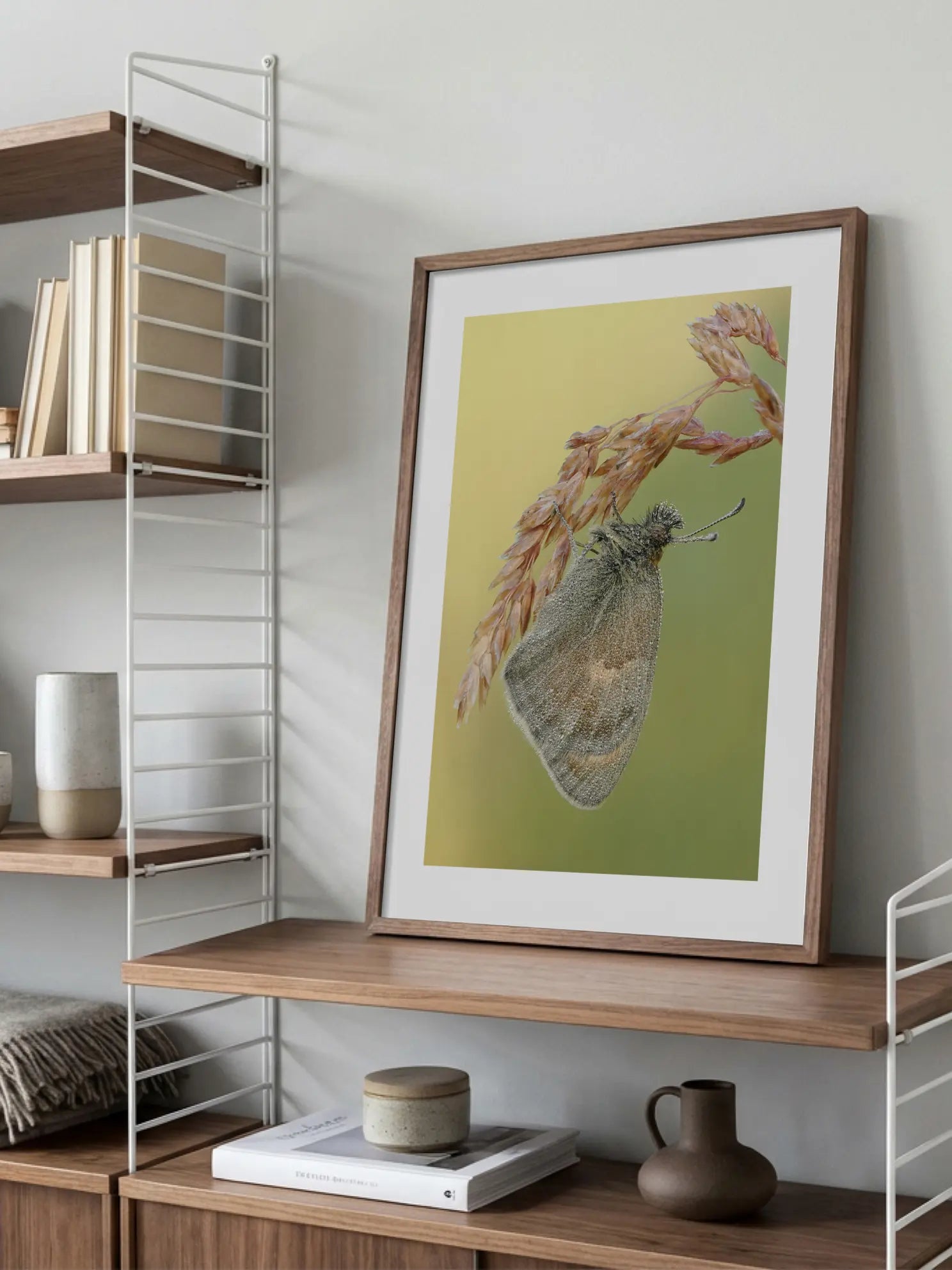 Moth Grass Stem Poster