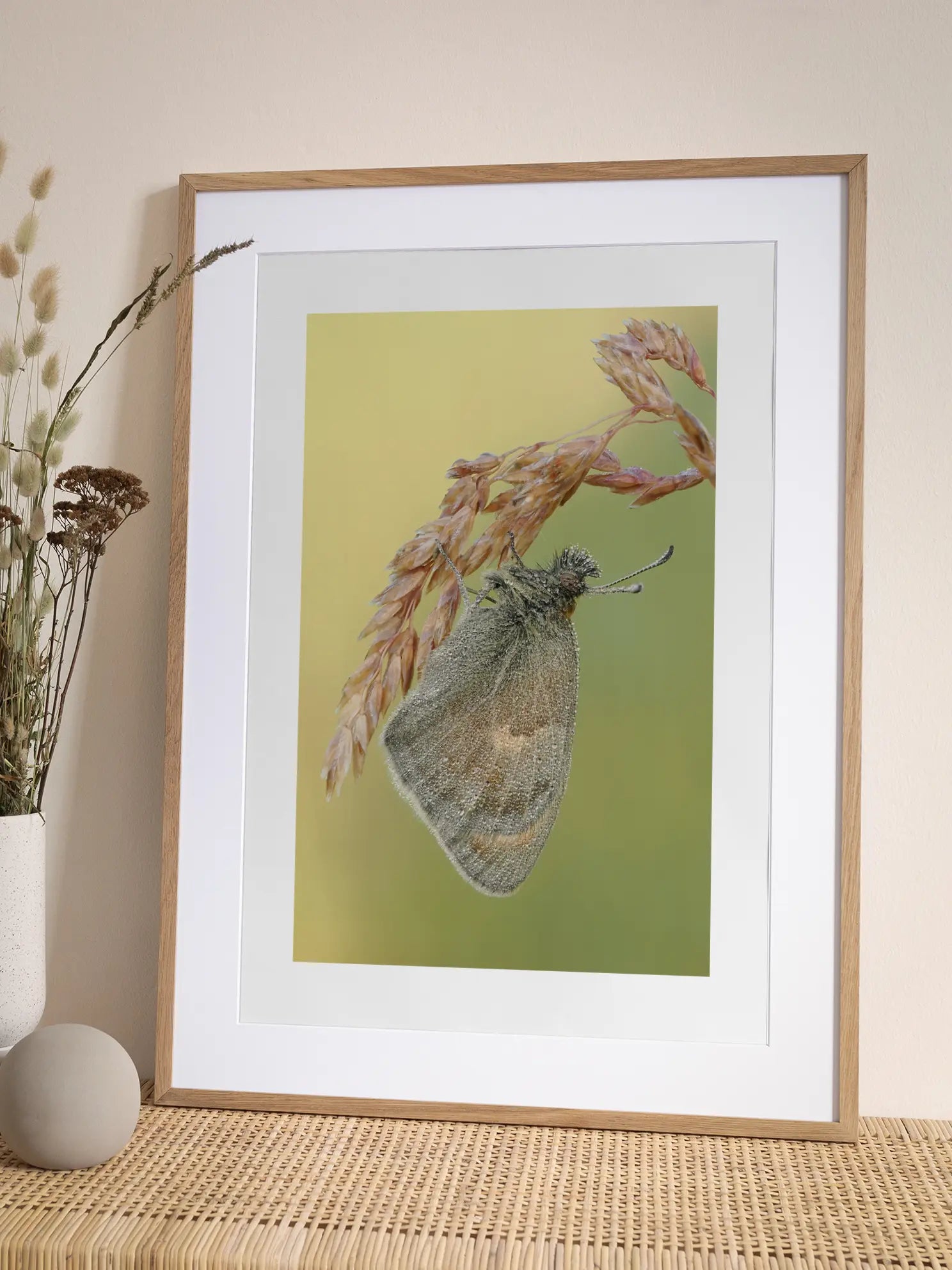 Moth Grass Stem Poster