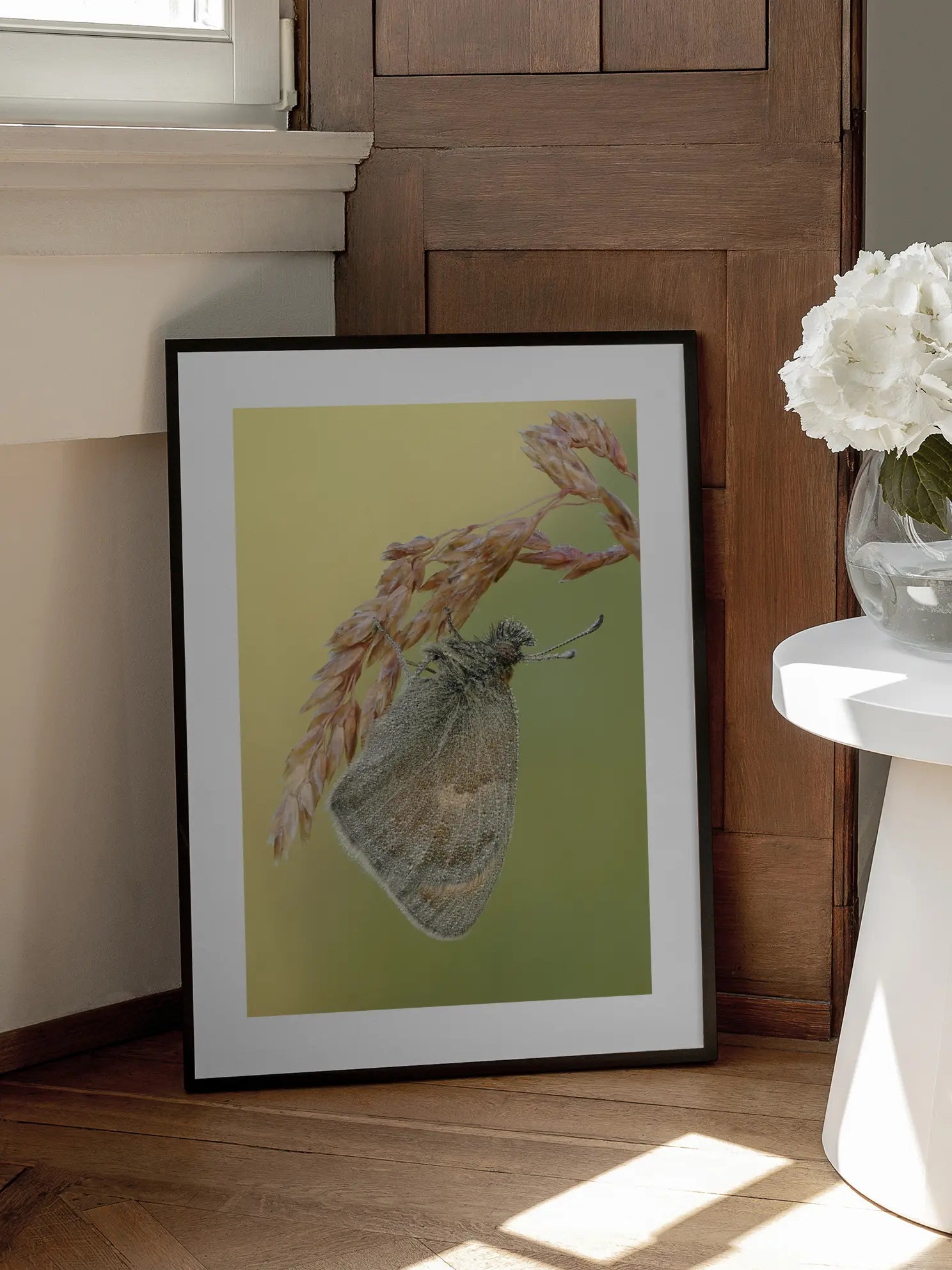 Moth Grass Stem Poster