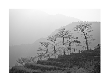 Schwarz-Weiß-Fotografie von einer Berglandschaft mit Bäumen im Vordergrund.