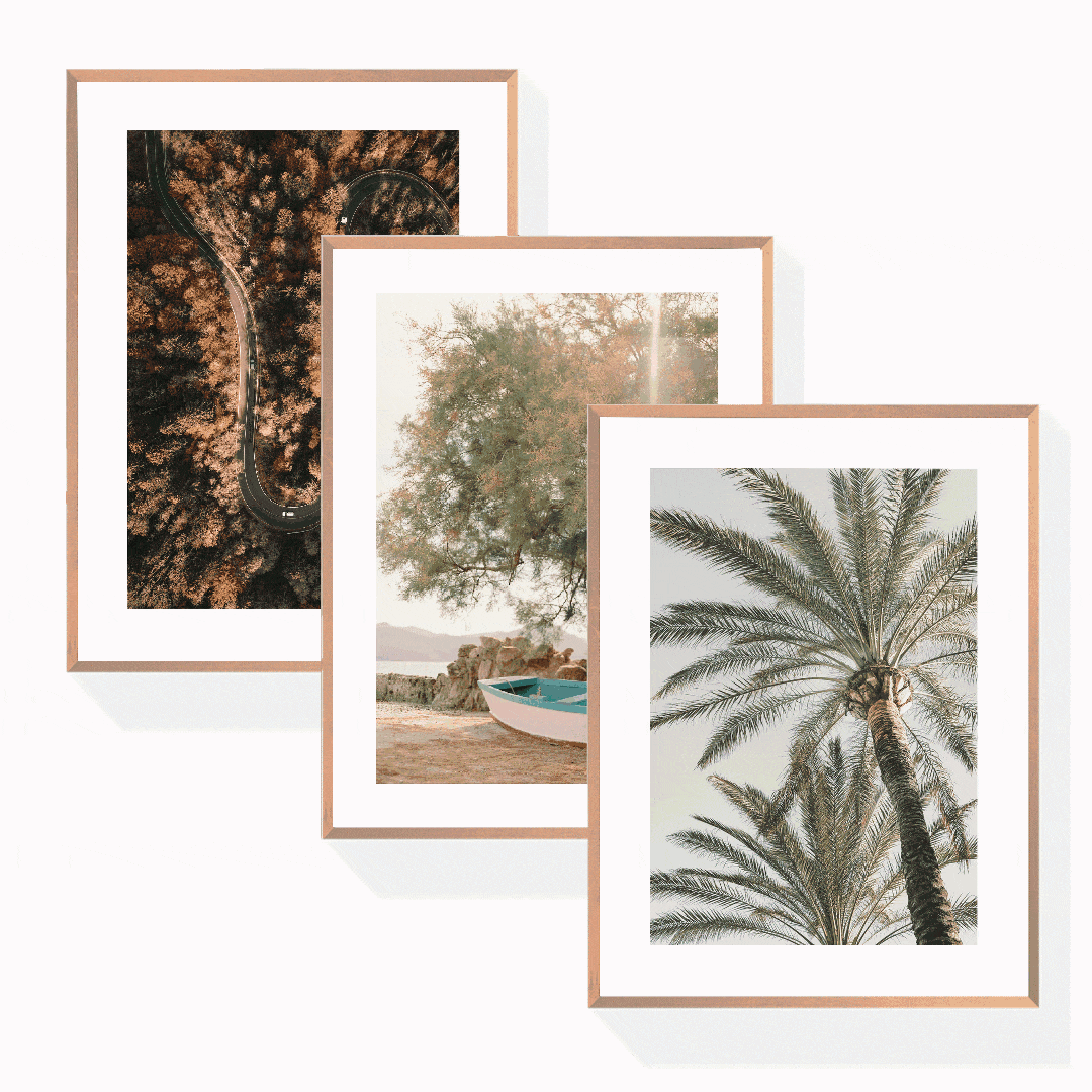 Natur Poster Bundle
