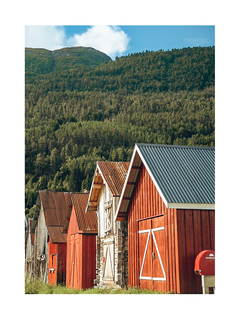 Fotografie von roten Scheunen vor einer grünen Landschaft in Norwegen.