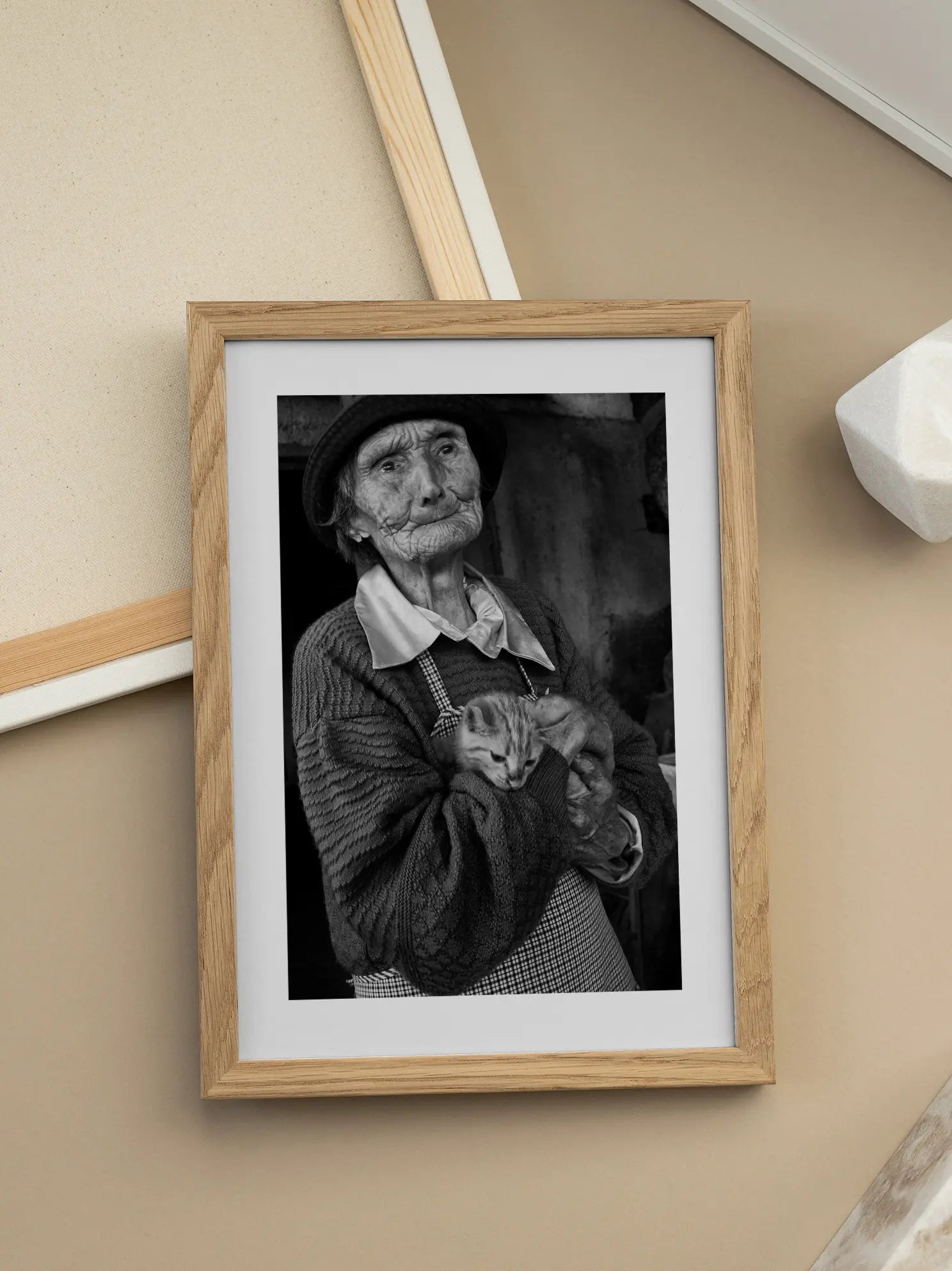 Old Lady and Cat Poster