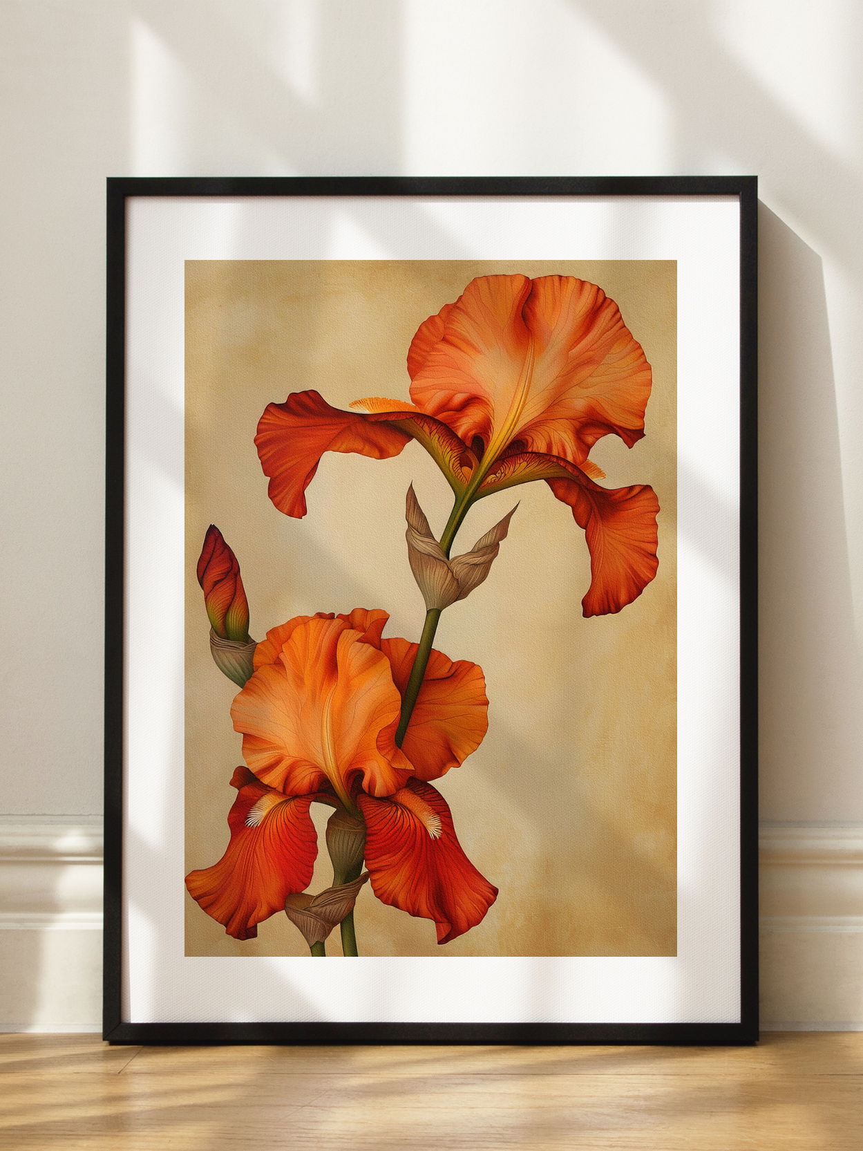 Orange Iris