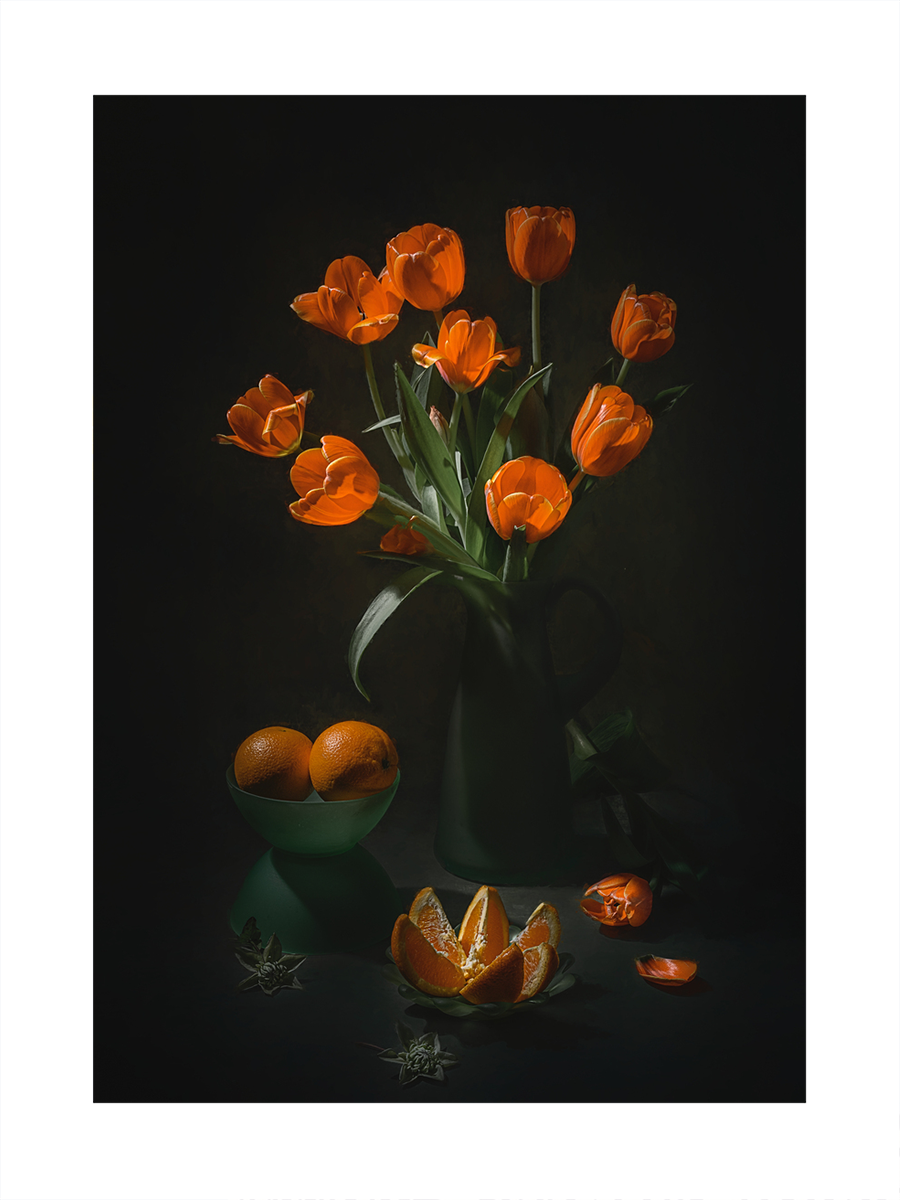 Orange Tulips and Oranges Poster