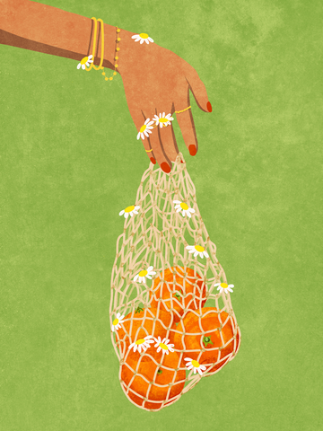 Illustration einer Hand mit einem Netzbeutel voller Orangen und Gänseblümchen vor grünem Hintergrund.