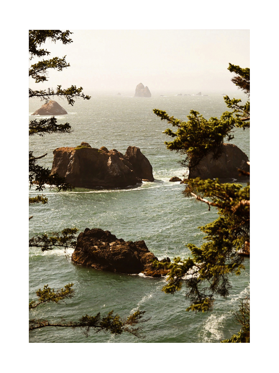 Fotografie der Oregon-Küste mit Meer, kleinen Inseln und Bäumen im Vordergrund.